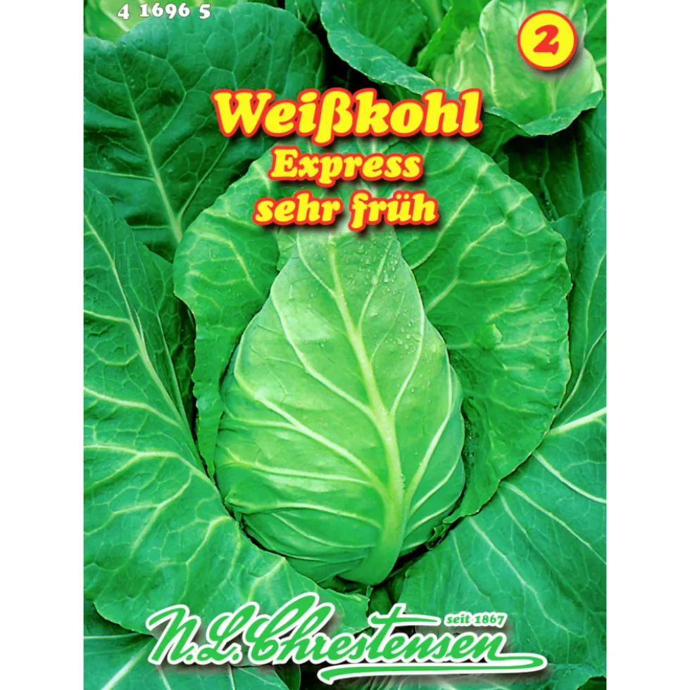 Saatgut Weißkohl Express Spitzkohl ca. 120 Pflanzen