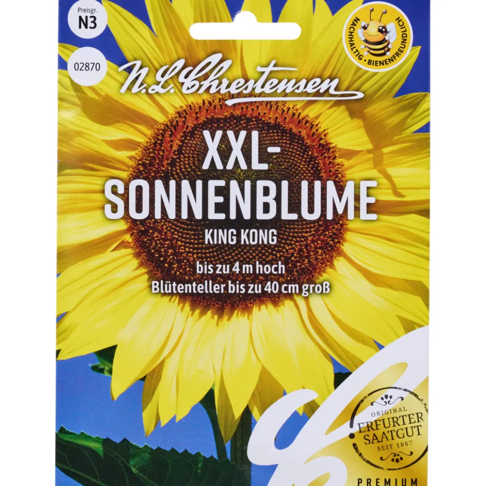Saatgut XXL Sonnenblume King Kong