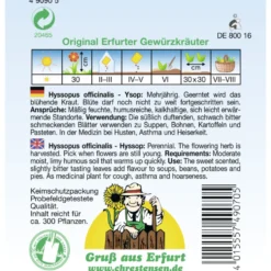 Saatgut Ysop tiefblau PG 2