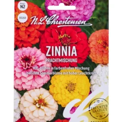 Saatgut Zinnia Prachtmischung