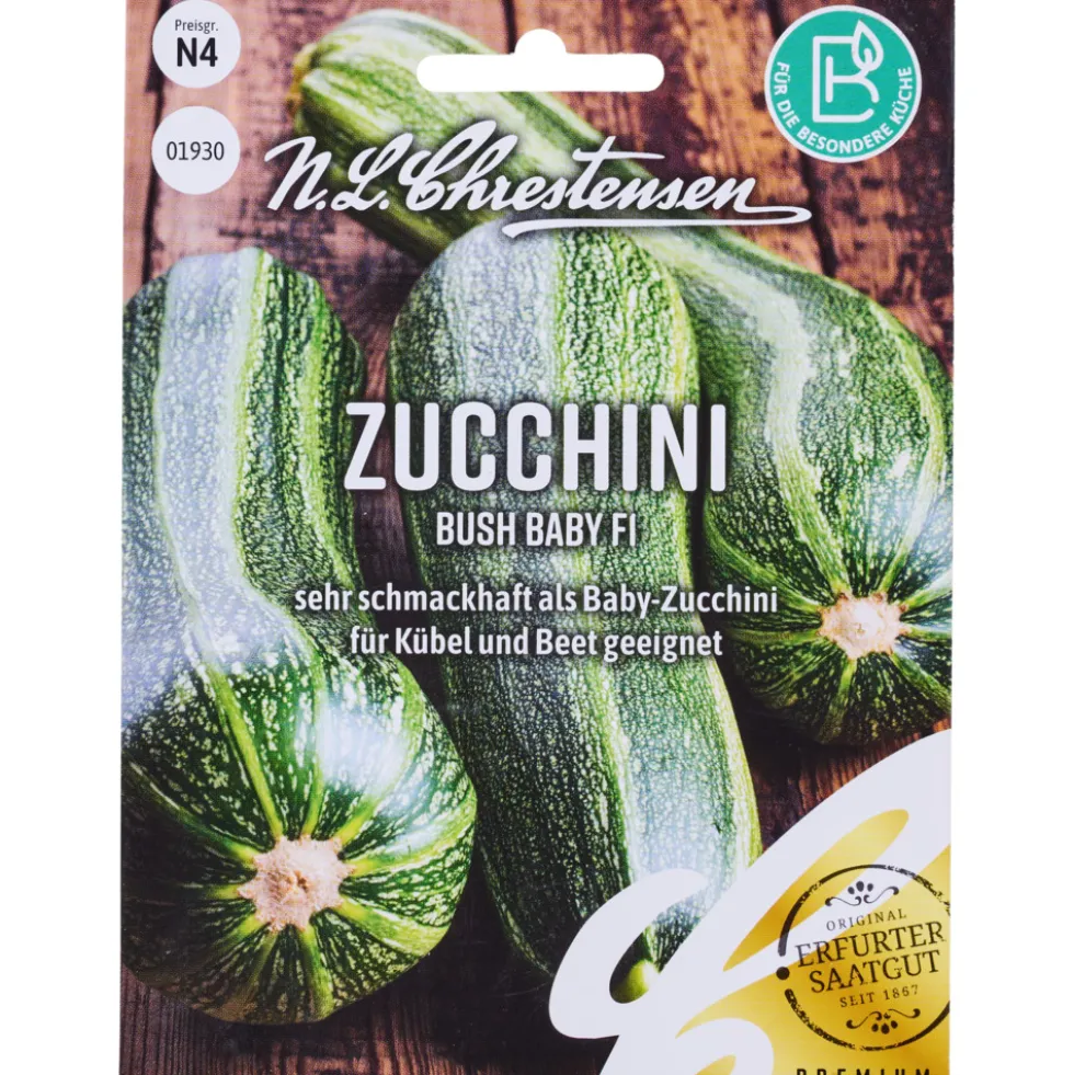 Saatgut Zucchini Bush Baby F1