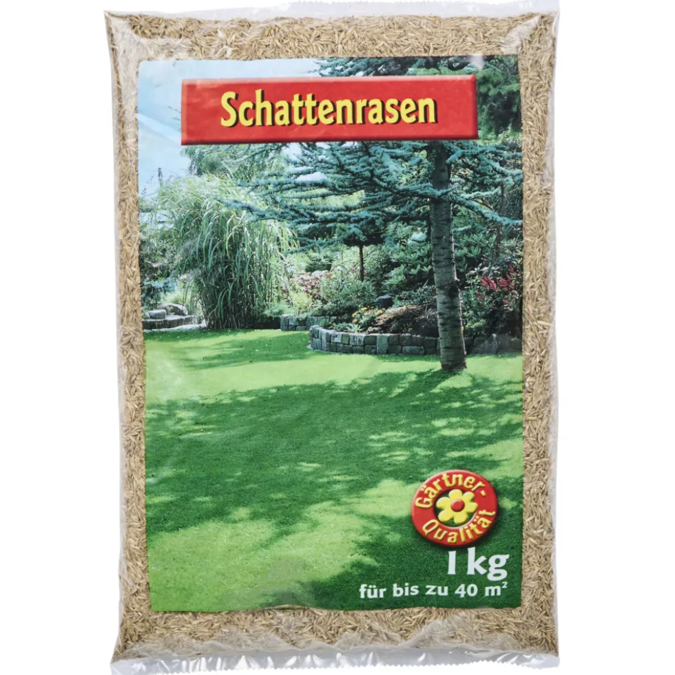 Schattenrasen Samen 1 kg Saatgut für 40 m² Rasenfläche