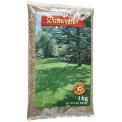 Schattenrasen Samen 1 kg Saatgut für 40 m² Rasenfläche
