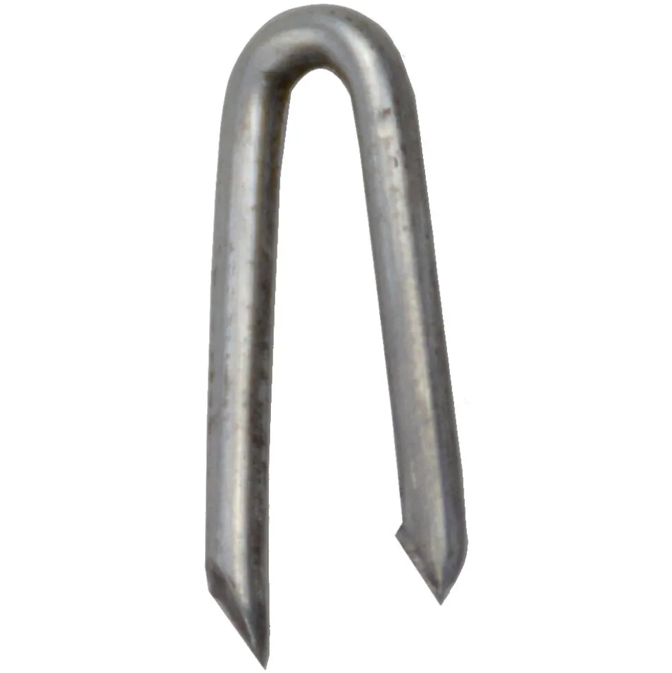 Schlaufennagel 2,5 x 25 mm aus Stahl