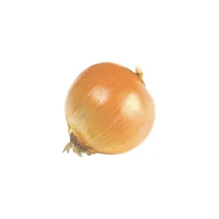Steckzwiebeln "Stuttgarter Riesen" 400 g
