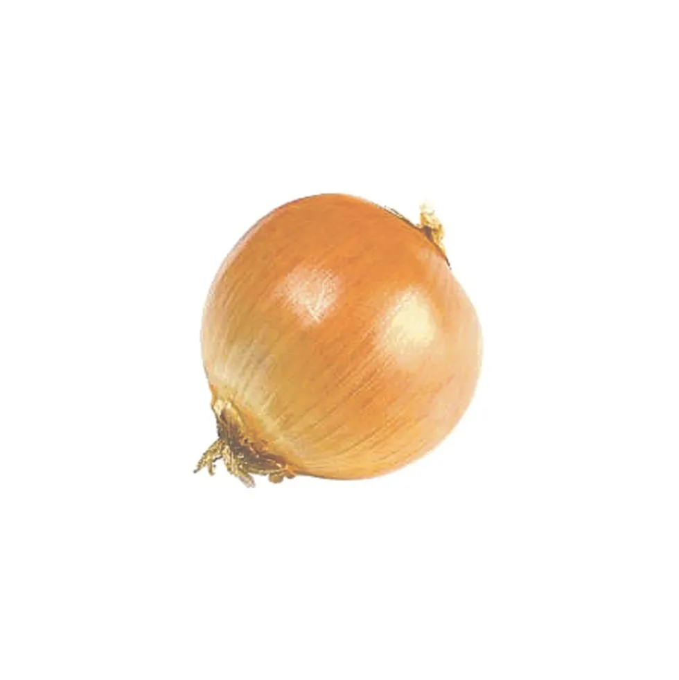 Steckzwiebeln "Stuttgarter Riesen" 400 g