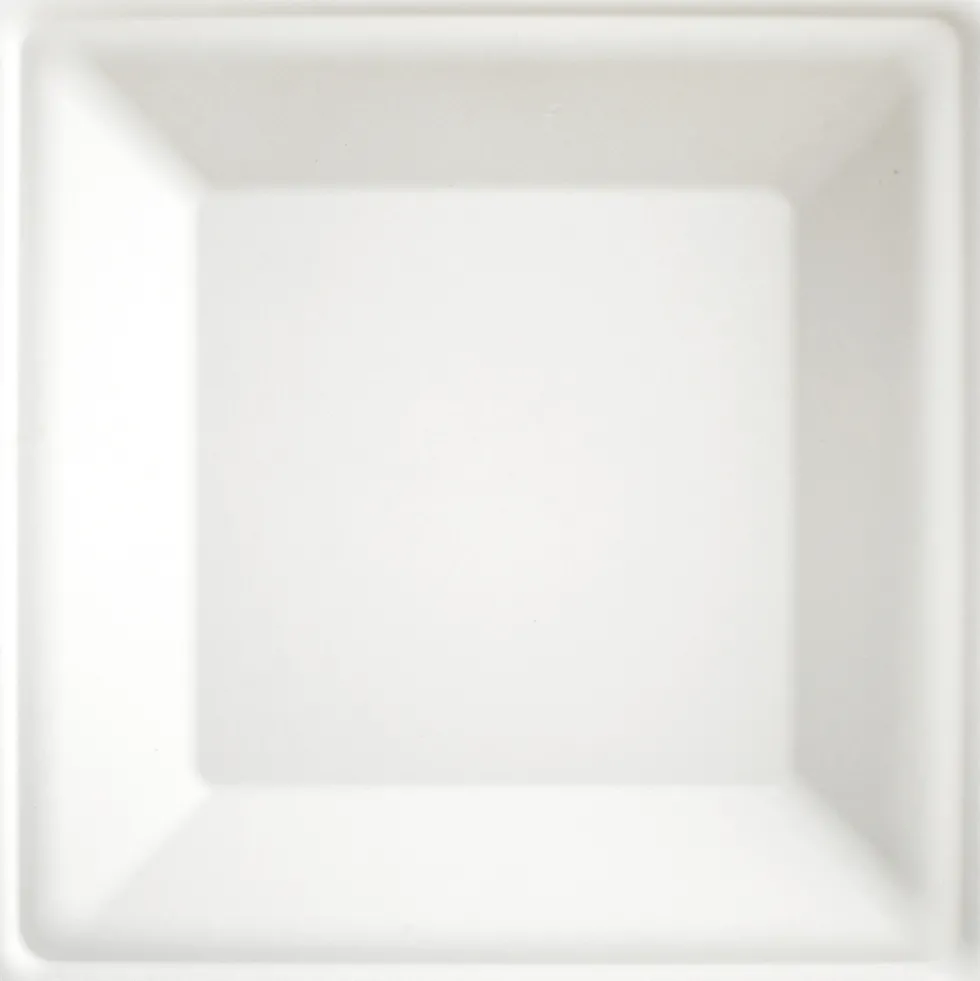 Teller "be green", eckig, weiß, 10 Stück, 26 x 26 cm