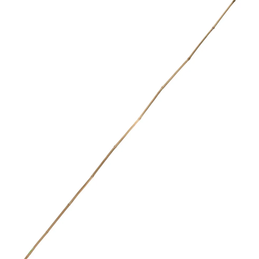 Tonkinstab 180 cm aus Bambus
