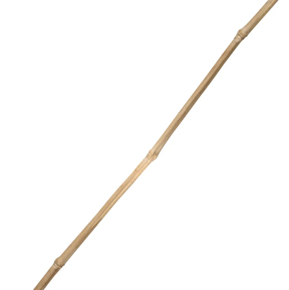 Tonkinstab 180 cm aus Bambus