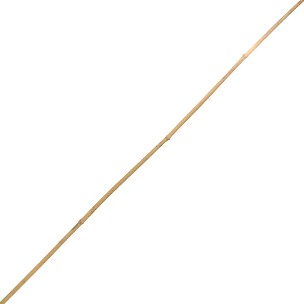 Tonkinstab 120 cm aus Bambus