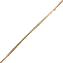 Tonkinstab 105 cm aus Bambus
