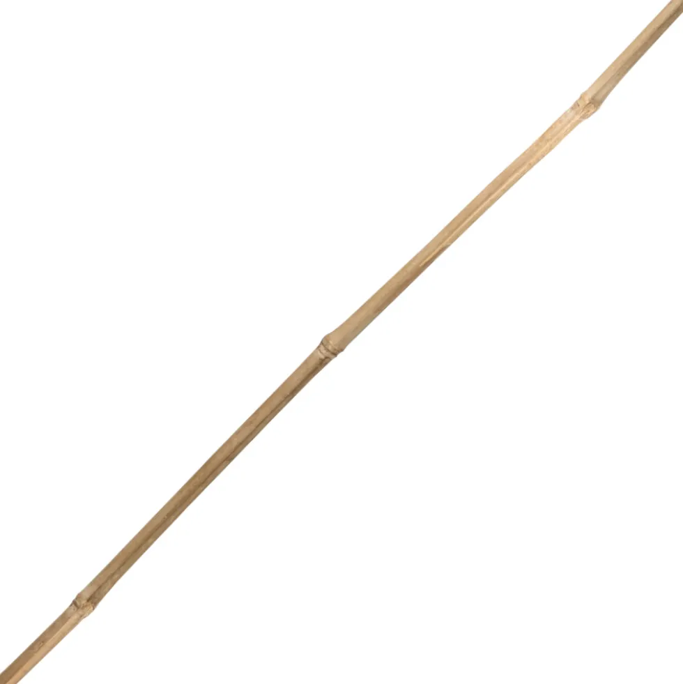 Tonkinstab 105 cm aus Bambus
