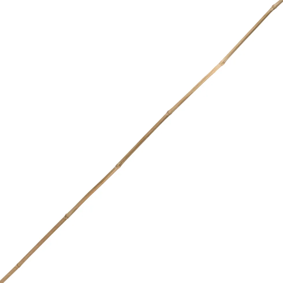 Tonkinstab 105 cm aus Bambus