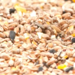 Vogelfutter 1 kg spezielles Fett- und Weichfutter