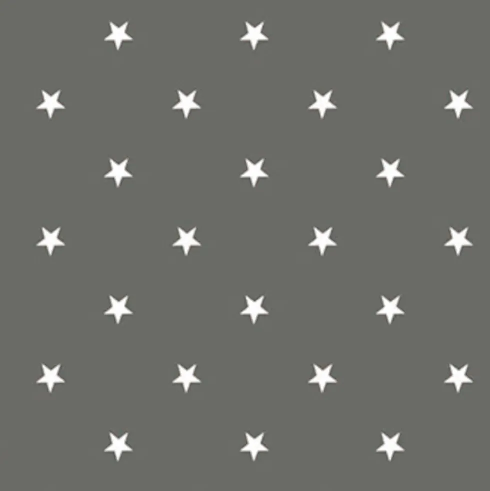 Wachstuch 1,40m Star grau/weiß