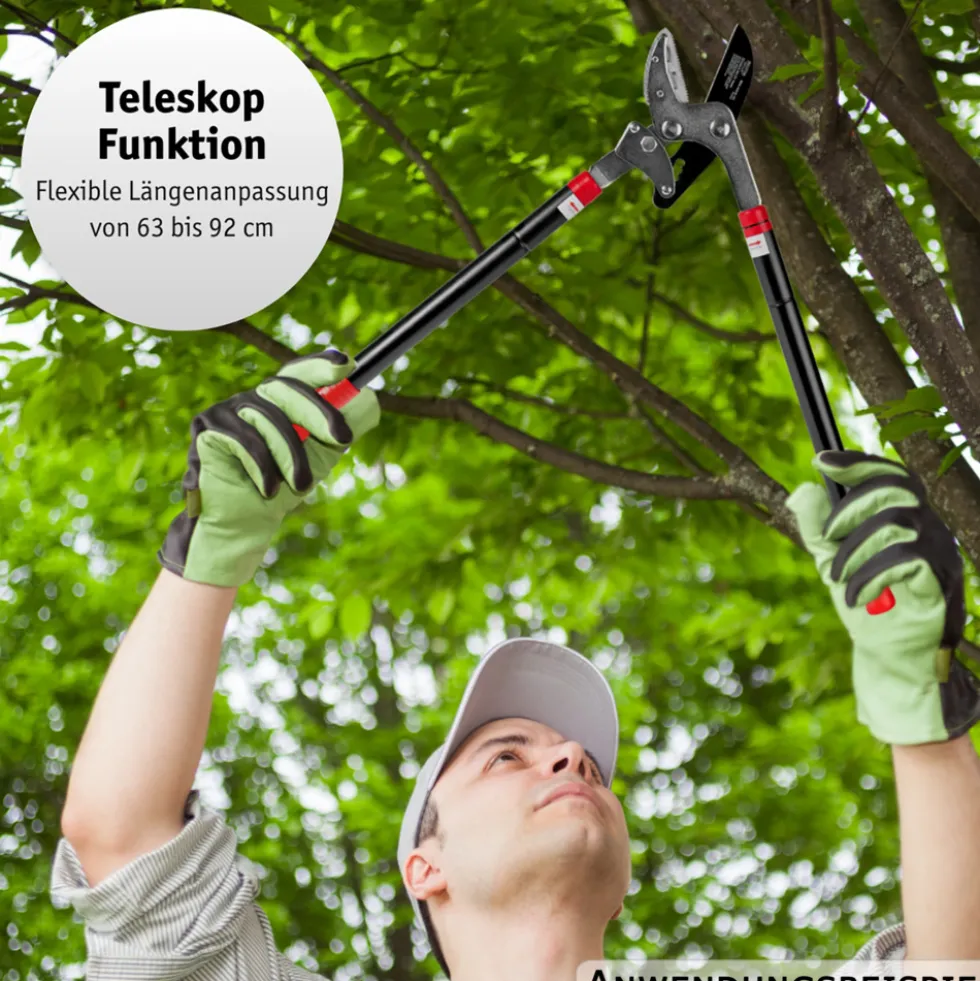 WALTER Getriebe-Astschere mit Teleskopfunktion