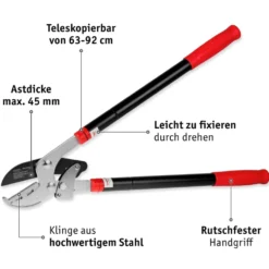 WALTER Getriebe-Astschere mit Teleskopfunktion
