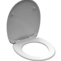 WC-Sitz mit Absenkautomatik Duroplast Lighthouse